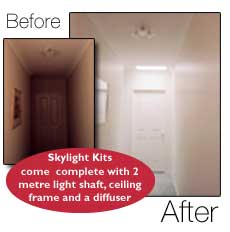 Light and Dark Comparison